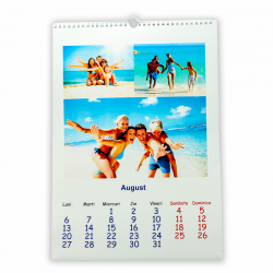 Calendar - 12 file spiralat