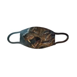 Acoperitoare faciala de...